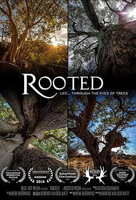 电视剧《生命之树  Rooted》（2018南非 South Africa）--高清4K/1080P迅雷BT资源下载