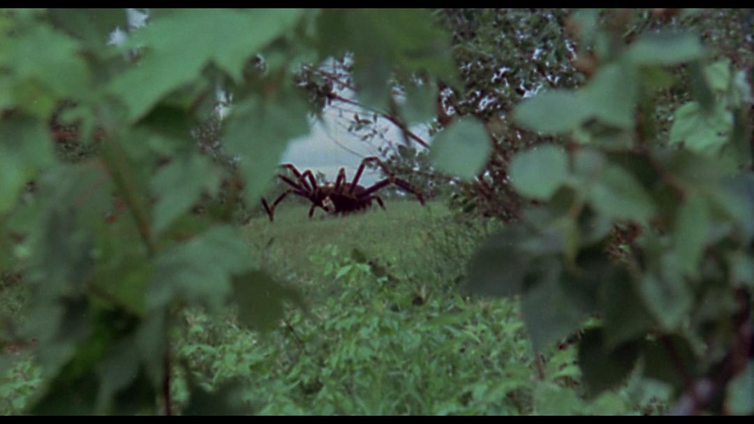电影《巨型蜘蛛大进攻  The Giant Spider Invasion》（1975美国）--高清4K/1080P迅雷BT资源下载