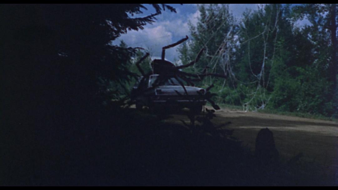 电影《巨型蜘蛛大进攻  The Giant Spider Invasion》（1975美国）--高清4K/1080P迅雷BT资源下载