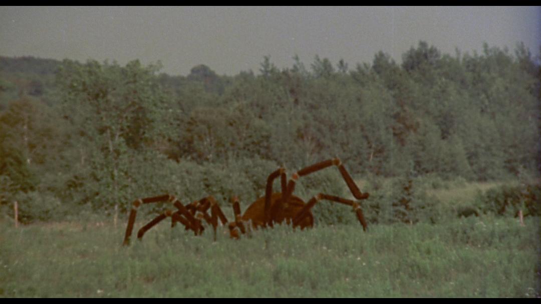 电影《巨型蜘蛛大进攻  The Giant Spider Invasion》（1975美国）--高清4K/1080P迅雷BT资源下载