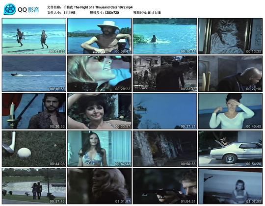 电影《千猫夜  La noche de los mil gatos》（1972墨西哥）--高清4K/1080P迅雷BT资源下载