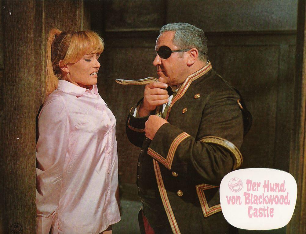 电影《黑林城堡之犬  Der Hund von Blackwood Castle》（1968西德）--高清4K/1080P迅雷BT资源下载