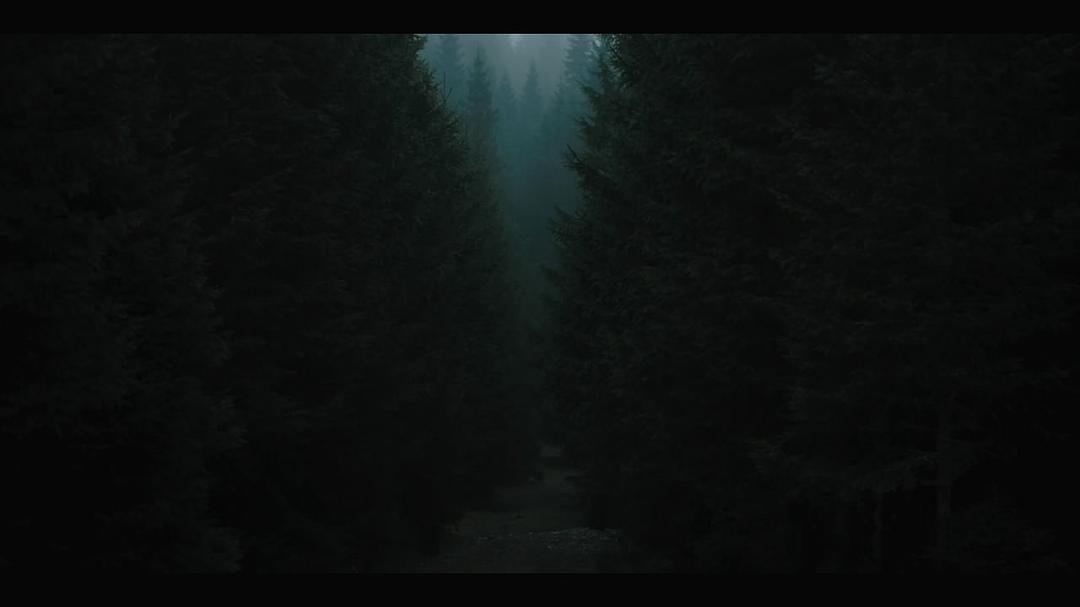 电影《黑森灵  The Ritual》（2017英国）--高清4K/1080P迅雷BT资源下载