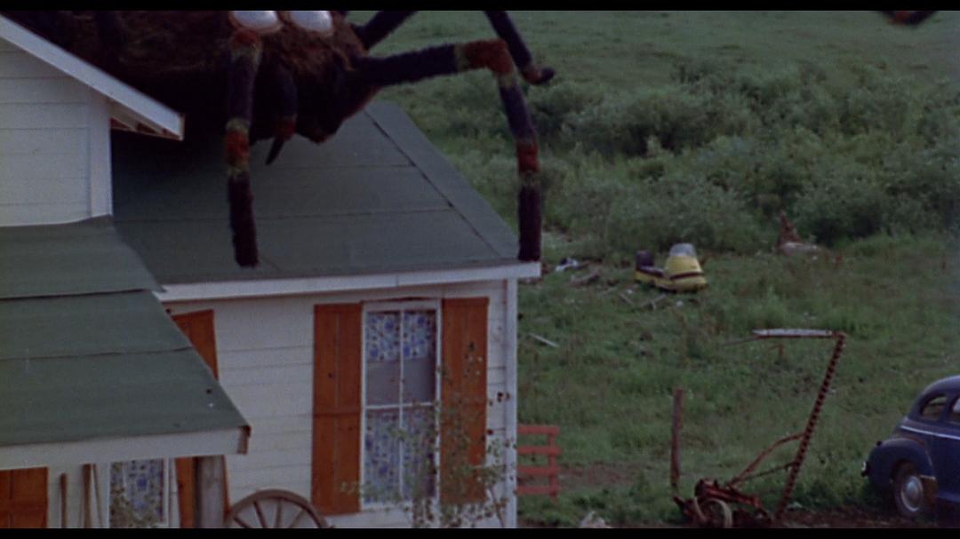 电影《巨型蜘蛛大进攻  The Giant Spider Invasion》（1975美国）--高清4K/1080P迅雷BT资源下载