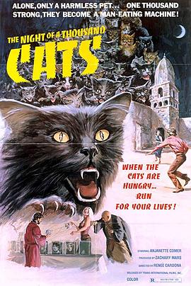 电影《千猫夜  La noche de los mil gatos》（1972墨西哥）--高清4K/1080P迅雷BT资源下载