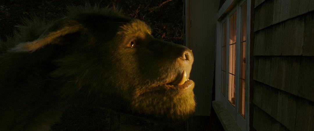电影短片《彼得的龙  Pete's Dragon》（2016美国）--高清4K/1080P迅雷BT资源下载