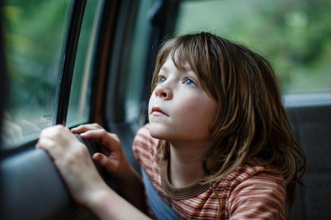 电影短片《彼得的龙  Pete's Dragon》（2016美国）--高清4K/1080P迅雷BT资源下载