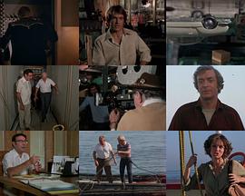 电影《Behind the Scenes: Beyond the Poseidon Adventure》（1979美国）--高清4K/1080P迅雷BT资源下载