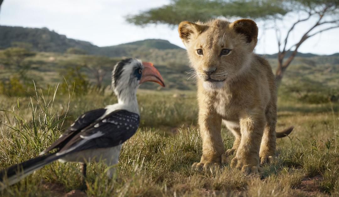 电影《狮子王  The Lion King》（2019美国）--高清4K/1080P迅雷BT资源下载