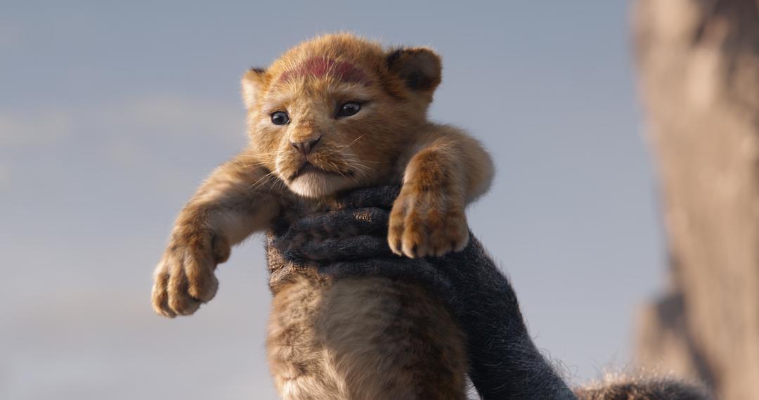 电影《狮子王  The Lion King》（2019美国）--高清4K/1080P迅雷BT资源下载