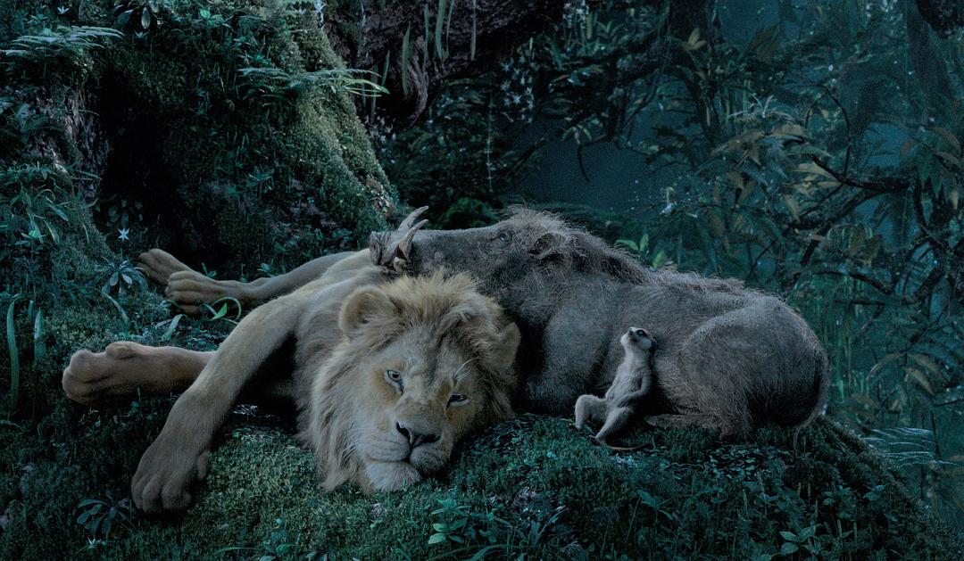 电影《狮子王  The Lion King》（2019美国）--高清4K/1080P迅雷BT资源下载