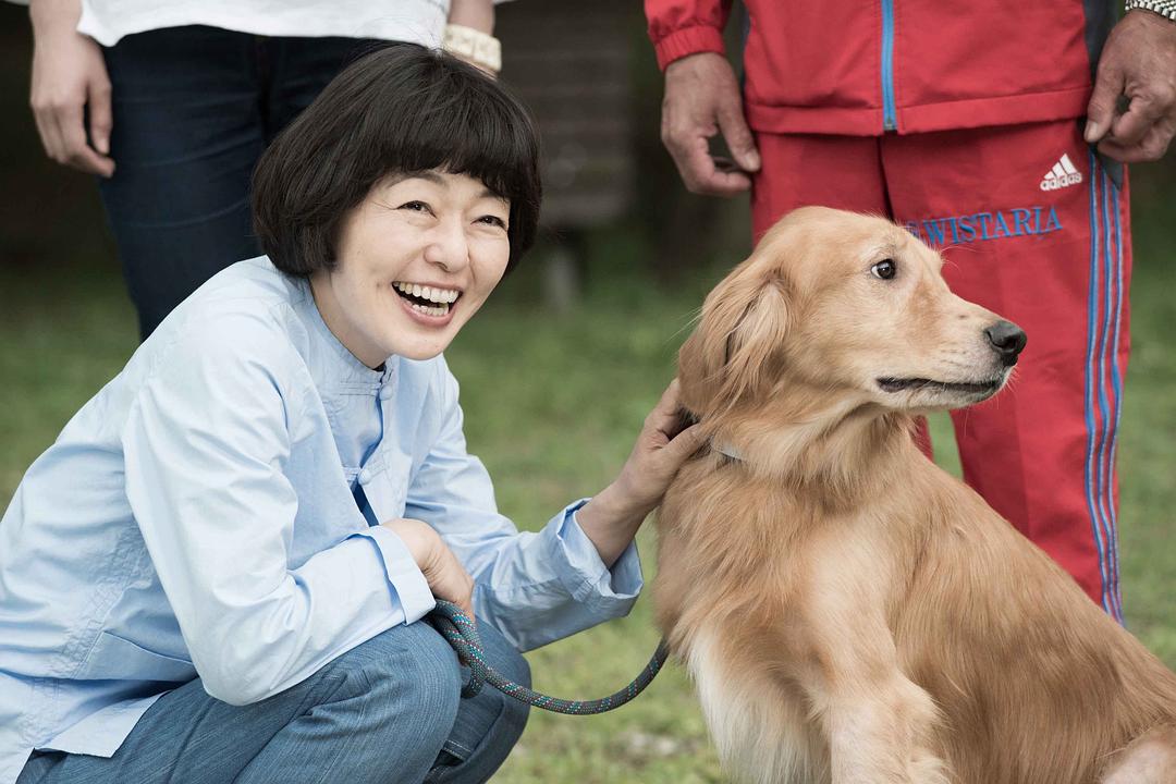 电影《为你取名的那一天  犬に名前をつける日》（2015日本）--高清4K/1080P迅雷BT资源下载