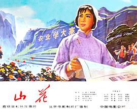 电影《山花》（1976中国大陆）--高清4K/1080P迅雷BT资源下载