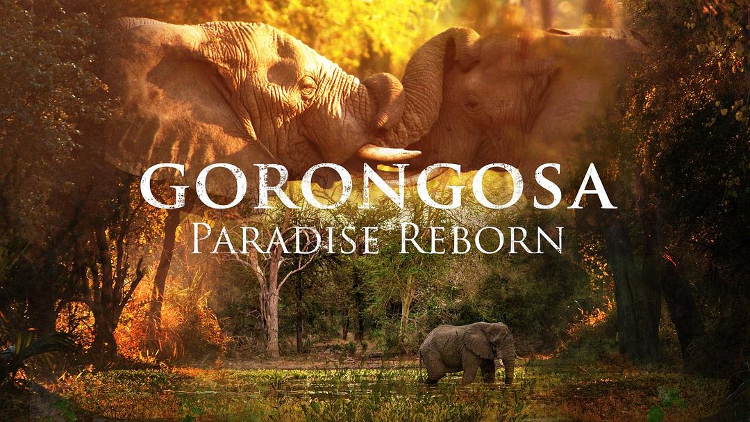 电视剧《Gorongosa: Paradise Reborn》（2022美国）--高清4K/1080P迅雷BT资源下载