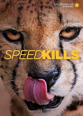 电视剧《极速猎杀  Speed Kills》（2013南非）--高清4K/1080P迅雷BT资源下载