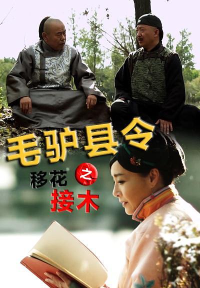 电影《毛驴县令之移花接木》（2014中国大陆）--高清4K/1080P迅雷BT资源下载