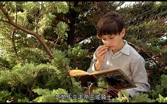 电影《我的美国舅舅  Mon oncle d'Amérique》（1980法国）--高清4K/1080P迅雷BT资源下载