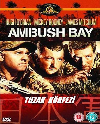 电影《激战伏兵湾  Ambush Bay》（1966美国）--高清4K/1080P迅雷BT资源下载