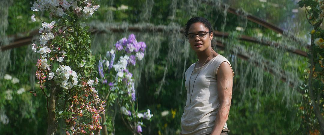 电影《湮灭  Annihilation》（2018美国 / 英国）--高清4K/1080P迅雷BT资源下载