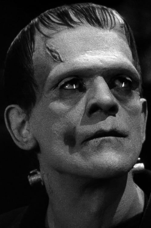 电影《科学怪人  Frankenstein》（1931美国）--高清4K/1080P迅雷BT资源下载