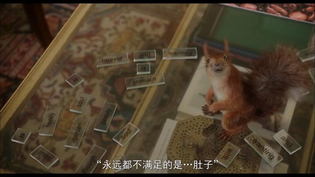 动漫《弗洛拉与尤利西斯  Flora &amp; Ulysses》（2021美国）--高清4K/1080P迅雷BT资源下载