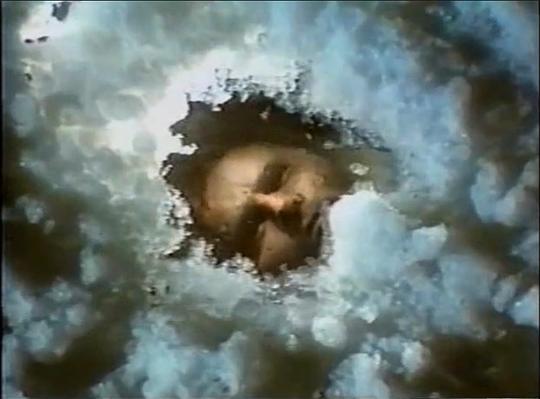电影《野性的呼唤  The Call of the Wild》（1972英国 / 法国 / 西德 / 意大利 / 西班牙）--高清4K/1080P迅雷BT资源下载