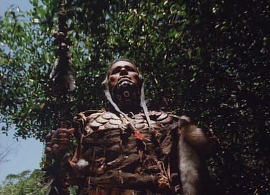 电影《大地之主  Cabeza de Vaca》（1991墨西哥 / 西班牙 / 美国 / 英国）--高清4K/1080P迅雷BT资源下载