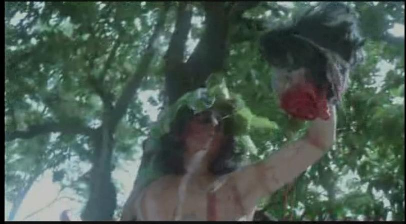 电影《亚马逊探宝  The Treasure of the Amazon》（1985墨西哥）--高清4K/1080P迅雷BT资源下载