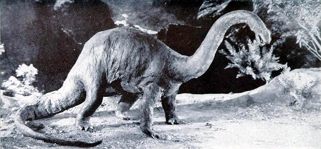电影《失落的世界  The Lost World》（1925美国）--高清4K/1080P迅雷BT资源下载