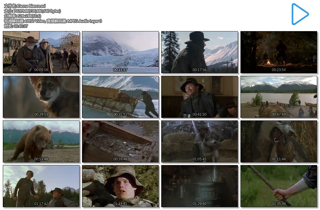 电影《白牙  Zanna Bianca》（1973意大利 / 西班牙 / 法国）--高清4K/1080P迅雷BT资源下载