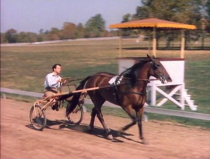 电影《欢乐人家  Home in Indiana》（1944美国）--高清4K/1080P迅雷BT资源下载