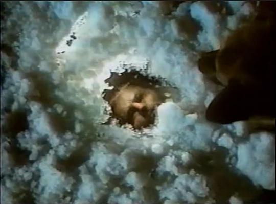 电影《野性的呼唤  The Call of the Wild》（1972英国 / 法国 / 西德 / 意大利 / 西班牙）--高清4K/1080P迅雷BT资源下载