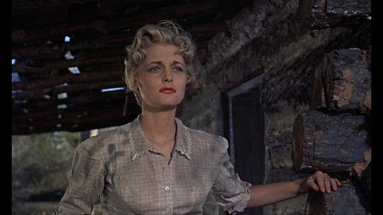 电影《魔鬼骑兵团  The Horse Soldiers》（1959美国）--高清4K/1080P迅雷BT资源下载
