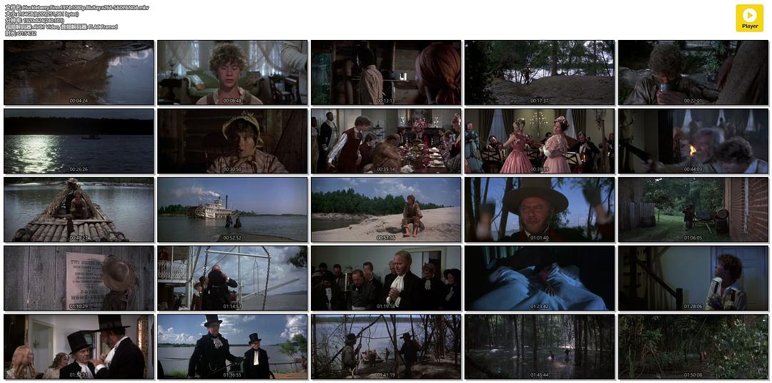 电影《哈克贝利·费恩历险记  Huckleberry Finn》（1974美国）--高清4K/1080P迅雷BT资源下载