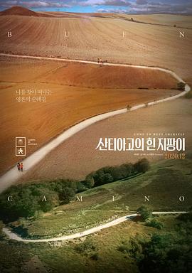 电影《圣地亚哥的白拐杖  산티아고의 흰 지팡이》（2020韩国）--高清4K/1080P迅雷BT资源下载