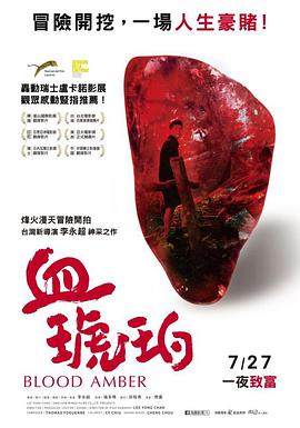 纪录片《血琥珀》（2017中国台湾 / 缅甸）--高清4K/1080P迅雷BT资源下载