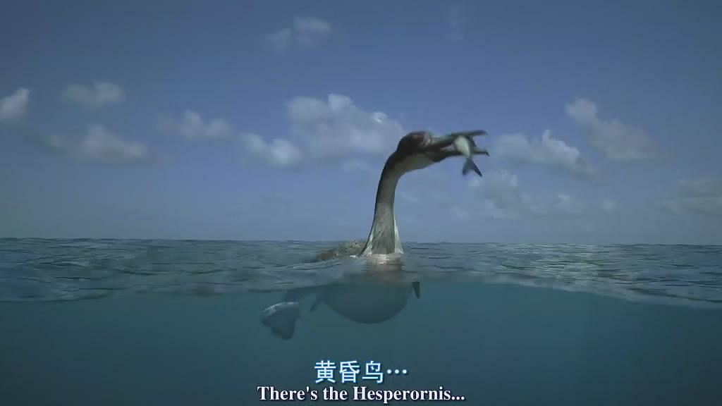 纪录片《与海怪同行  Sea Monsters: A Prehistoric Adventure》（2007美国）--高清4K/1080P迅雷BT资源下载