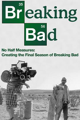 纪录片《绝不折中：绝命毒师最终季制作记录  No Half Measures: Creating the Final Season of Breaking Bad》（2013美国）--高清4K/1080P迅雷BT资源下载