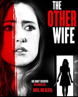 电影《另一个妻子  The Other Wife》（2016美国）--高清4K/1080P迅雷BT资源下载