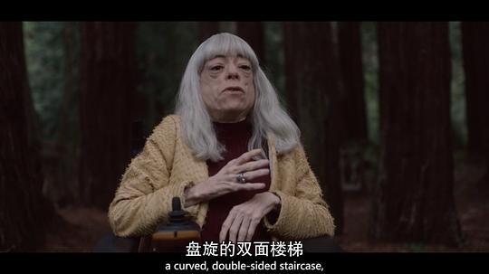 电视剧《先见之明 第二季  The OA》（2019美国）--高清4K/1080P迅雷BT资源下载