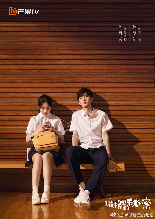 电视剧《暗格里的秘密》（2021中国大陆）--高清4K/1080P迅雷BT资源下载
