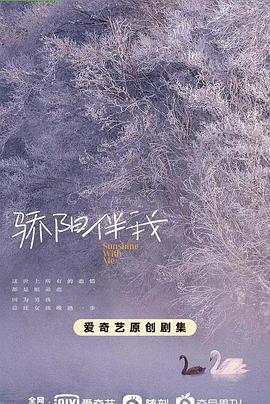 电视剧《骄阳伴我》（2023中国大陆）--高清4K/1080P迅雷BT资源下载
