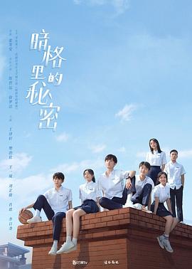 电视剧《暗格里的秘密》（2021中国大陆）--高清4K/1080P迅雷BT资源下载
