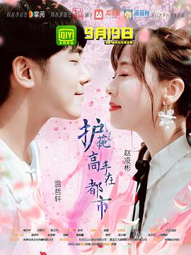 电视剧《护花高手在都市》（2018中国大陆）--高清4K/1080P迅雷BT资源下载