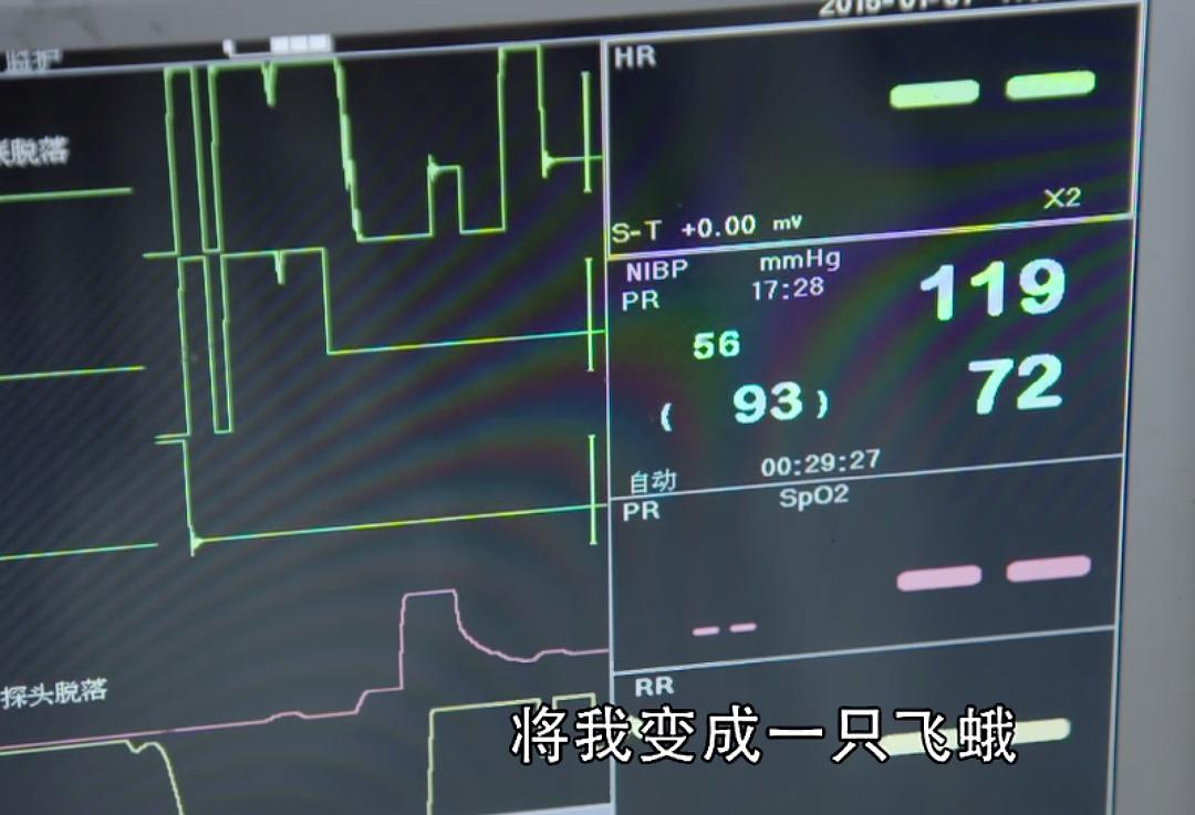 电视剧《两生花》（2015中国大陆）--高清4K/1080P迅雷BT资源下载