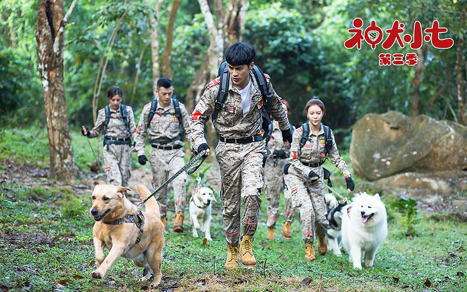 电视剧《神犬小七 第三季》（2019中国大陆）--高清4K/1080P迅雷BT资源下载