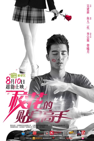 电视剧《校花的贴身高手》（2015中国大陆）--高清4K/1080P迅雷BT资源下载