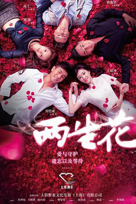 电视剧《两生花》（2015中国大陆）--高清4K/1080P迅雷BT资源下载