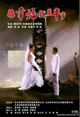 电视剧《离幸福就差半步》（2014中国大陆）--高清4K/1080P迅雷BT资源下载