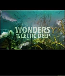 电视剧《凯尔特深海奇观 第一季  Wonders of the Celtic Deep》（2021英国）--高清4K/1080P迅雷BT资源下载